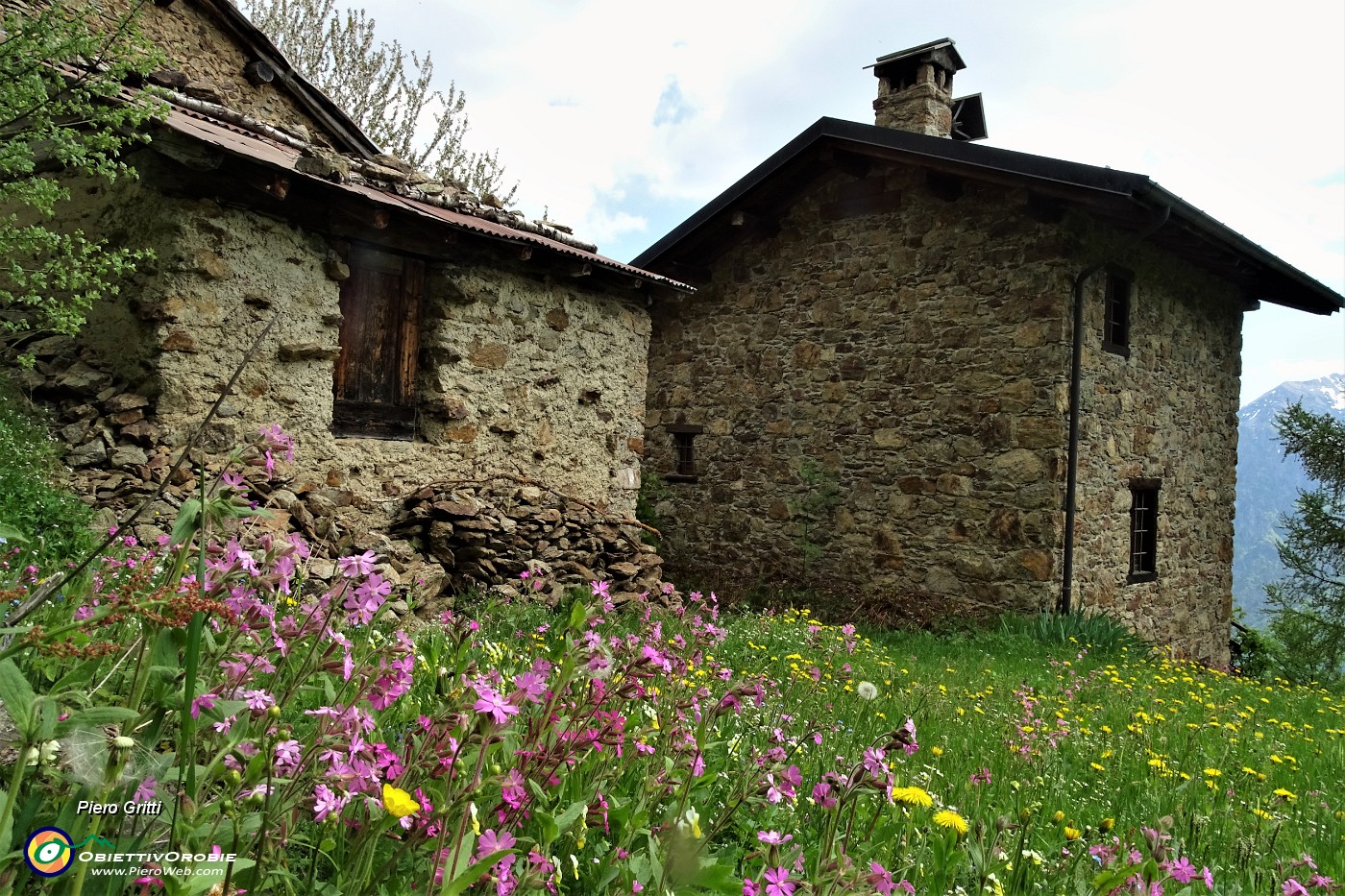 76 Giardino fiorito alle baite della Pigolotta.JPG